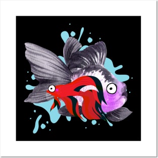 Thai fighting fish Posters and Art